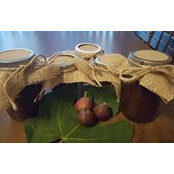 Elaine Kosty's photo