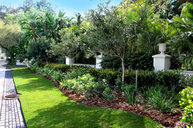 Design ideas for a tropical landscaping in Tampa.