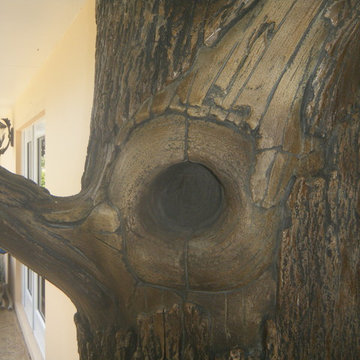Custom Concrete Trees