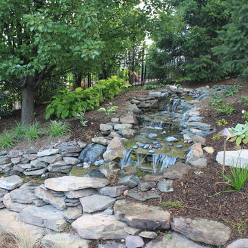 Landscape Design Projects