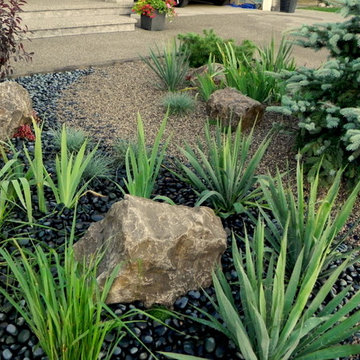 Ancaster Xeriscape