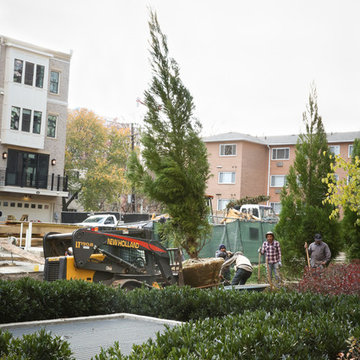 Greening the urban jungle