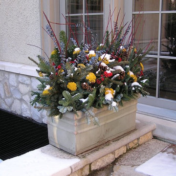 Winter Interest Container & Annual Display
