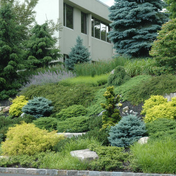 Corporate Park slope grown in