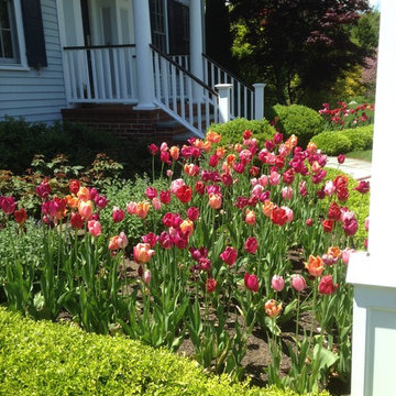 spring flowers