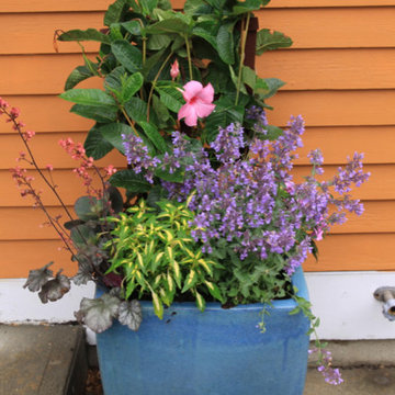 Seasonal Container Plantings & Changeovers