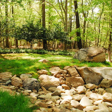 Backyard Water Runoff