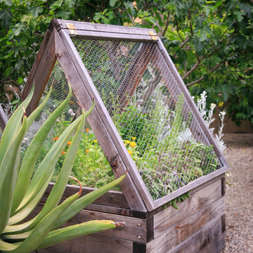 Santa Ynez Ranch