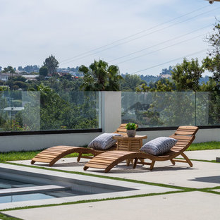 Studio City- Mid Century Modern Backyard