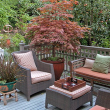 Patio Ideas