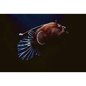 Darren Craigberry's photo