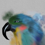 Susan Love's photo