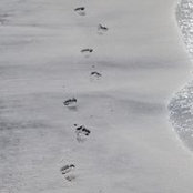 Fran Vincent's photo