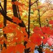 Yin Family Mail's photo