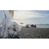 TammieL's photo