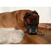 Tako Tabatadze's photo
