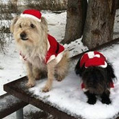 Foto de Catherine Dewitt
