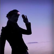 Tracy Lyons's photo