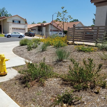 Irvine Front Yard