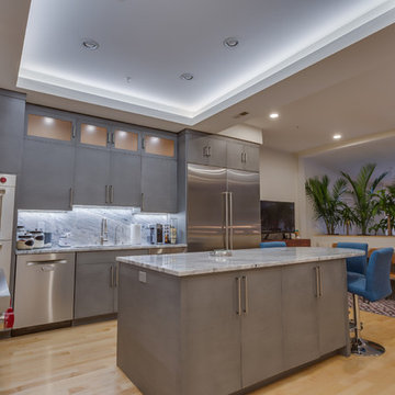 Two Level Condo Renovation with Roof Deck
