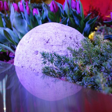 Southern Spring Home and Garden Show Entry 2015