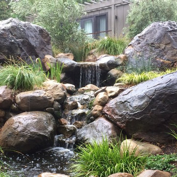 Small backyard pond