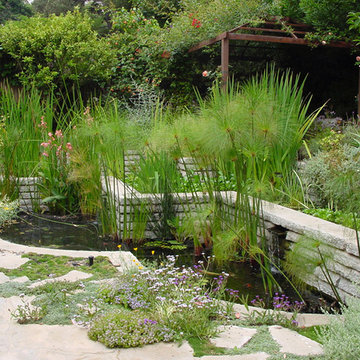 Rustic Canyon Garden