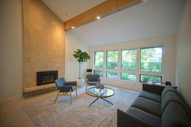 Mid-century modern living room photo