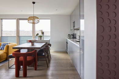 This is an example of a contemporary kitchen in London.