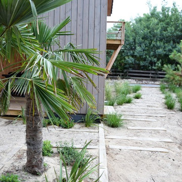 Le chemin dans les dunes, à travers les graminées