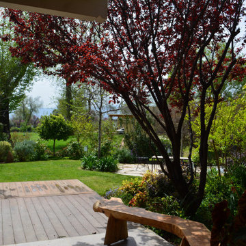 Garden with barbecue and vegetables