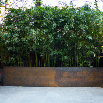 Plant combinations