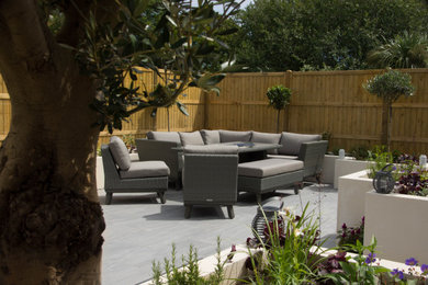 This is an example of a contemporary garden in Surrey.