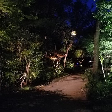 Outdoor L.E.D. Tree Lighting Project For Driveway