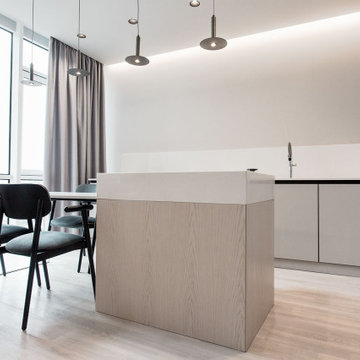 Scandinavian minimalism apartments