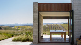 Modern Vineyard
