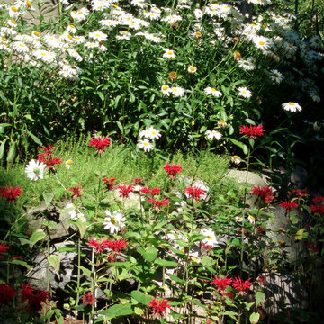 Plantings