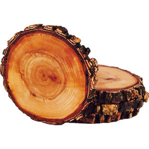 Rare Black Walnut Tree Wood Coasters with Bark 4-Pack