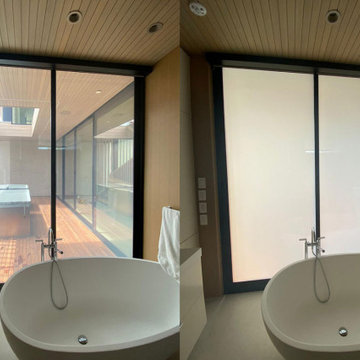 Switchable Glass Bathroom