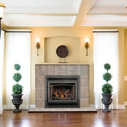 Napoleon STARfire Series 38'' x 42'' DV Gas Fireplace System GD70NT - Indoor Fireplaces