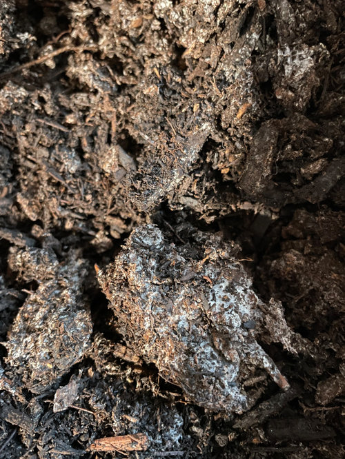 Found a 100 Pine Bark Soil Conditioner in North NJ