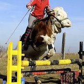 Kristin Crosland's photo