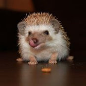 Foto de Chong Jo
