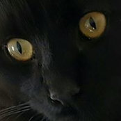 Malinda Branson's photo