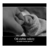 Lukasz Skoczek's photo