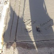 William Novakowski's photo