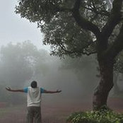Foto de Yash Ostwal
