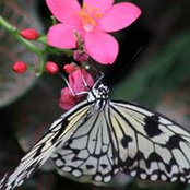 Sarah Dyer's photo