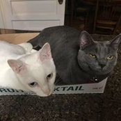 Elisabeth Bivens's photo