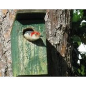 Barbara Keith's photo